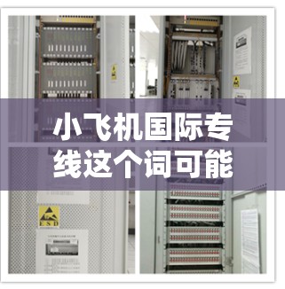 小飞机国际专线这个词可能指的是一种小型飞机用于国际运输的专线服务，或者是某个特定航空公司或运输服务提供商的品牌名称。以下是一些可能的解释和相关信息