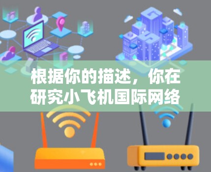 根据你的描述，你在研究小飞机国际网络加速器。以下是对该工具的详细分析和建议，帮助你更好地了解和评估其适用性