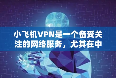 小飞机VPN是一个备受关注的网络服务，尤其在中国内地用户中颇受欢迎。以下是对小飞机VPN体验的详细分析