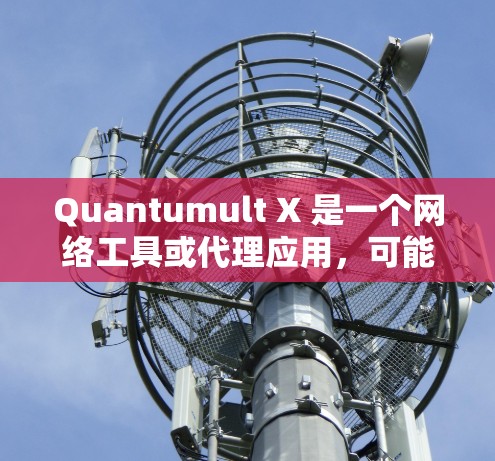 Quantumult X 是一个网络工具或代理应用，可能用于优化网络性能或配置代理设置。在 iOS 上安装 Quantumult X 可能需要通过以下步骤