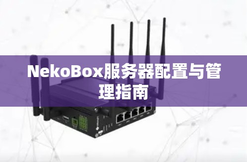 NekoBox服务器配置与管理指南