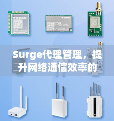 Surge代理管理，提升网络通信效率的关键