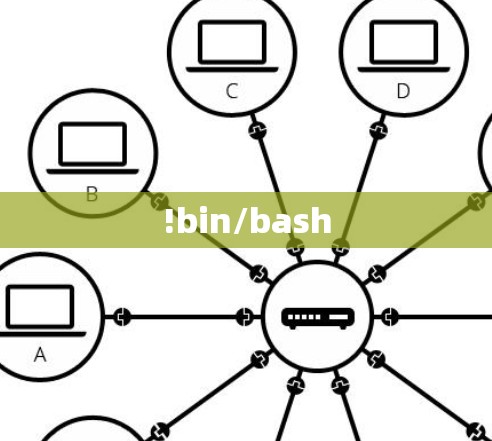 !bin/bash