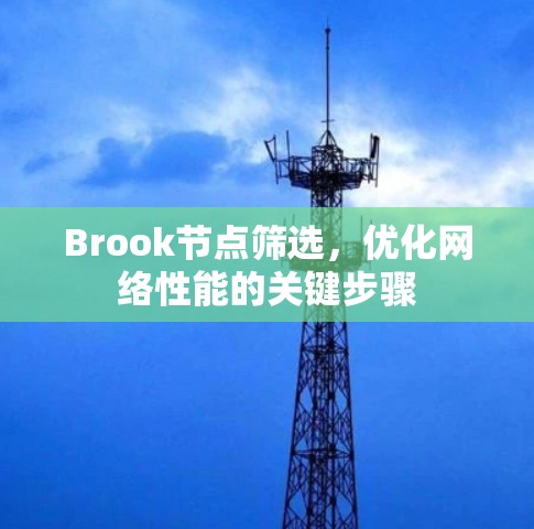 Brook节点筛选，优化网络性能的关键步骤