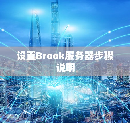 设置Brook服务器步骤说明