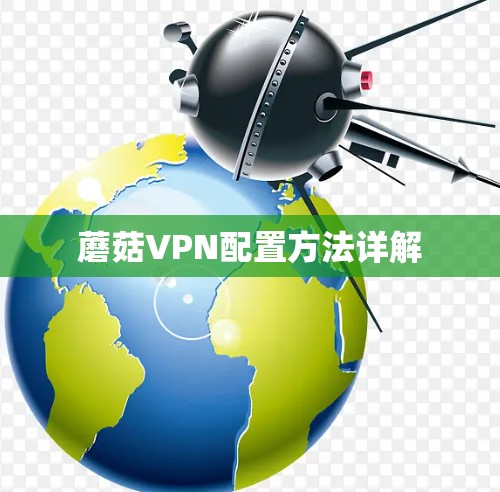 蘑菇VPN配置方法详解