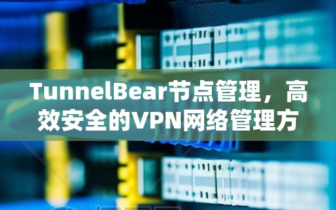 TunnelBear节点管理，高效安全的VPN网络管理方案