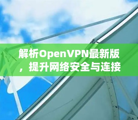 解析OpenVPN最新版，提升网络安全与连接效率