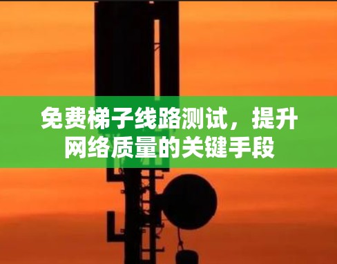 免费梯子线路测试，提升网络质量的关键手段