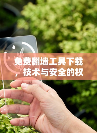 免费翻墙工具下载，技术与安全的权衡