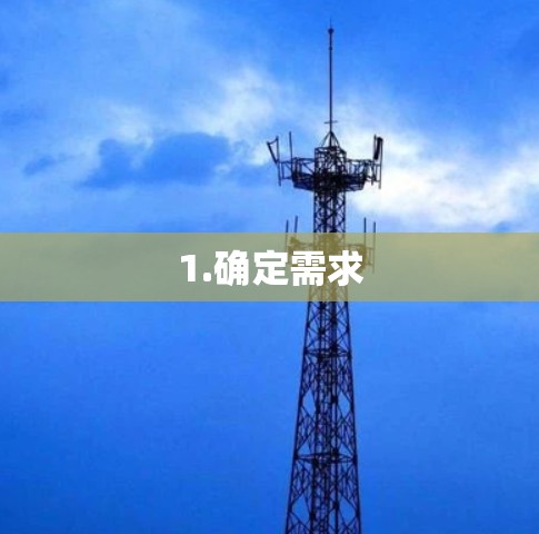 1.确定需求