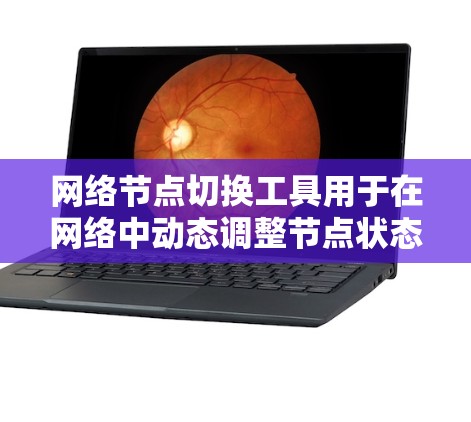 网络节点切换工具用于在网络中动态调整节点状态，例如切换节点的在线与离线状态，或在负载均衡场景中重新分配流量。以下是该工具的主要功能和实现方案