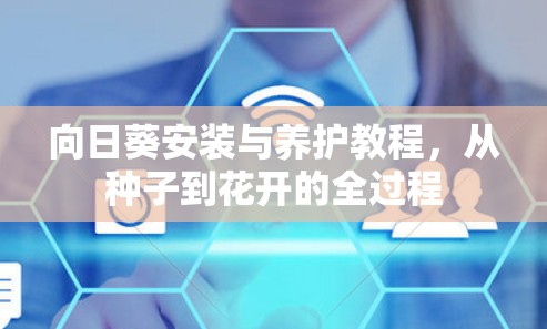 向日葵安装与养护教程，从种子到花开的全过程