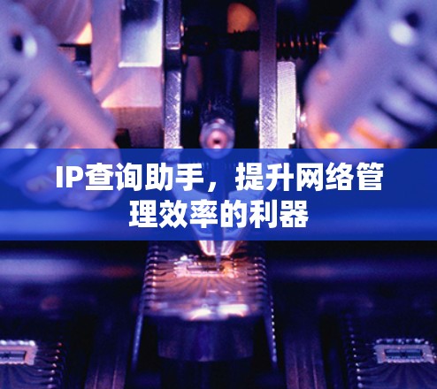 IP查询助手，提升网络管理效率的利器