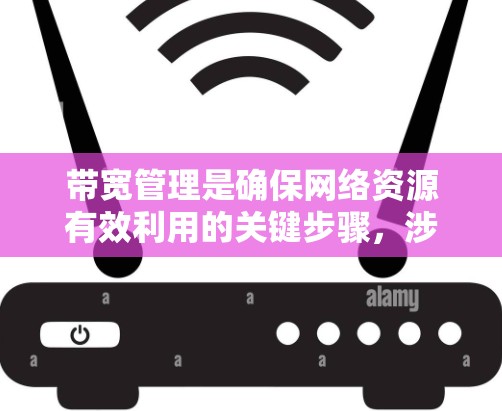 带宽管理是确保网络资源有效利用的关键步骤，涉及多种工具和策略来监控、分析和优化网络流量。以下是对带宽管理工具和步骤的详细总结