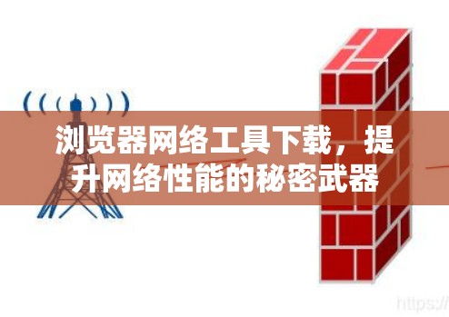 浏览器网络工具下载，提升网络性能的秘密武器
