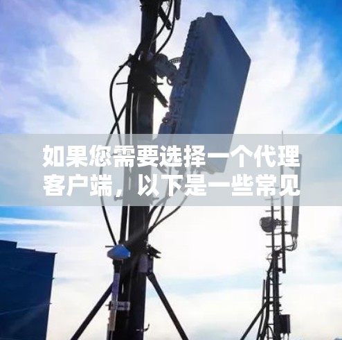 如果您需要选择一个代理客户端，以下是一些常见的代理客户端及其特点，供您参考