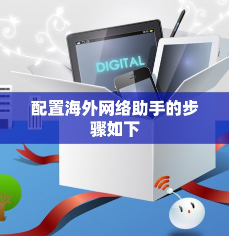 配置海外网络助手的步骤如下