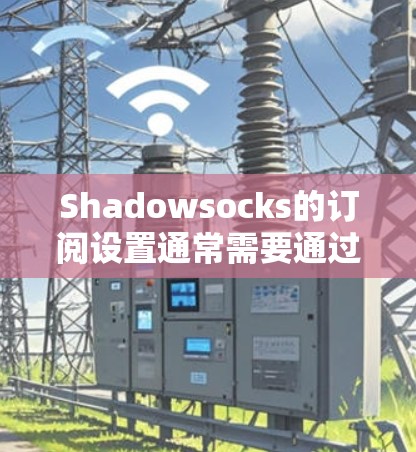 Shadowsocks的订阅设置通常需要通过官方网站或授权商家进行。以下是详细的步骤指南，帮助您完成订阅设置