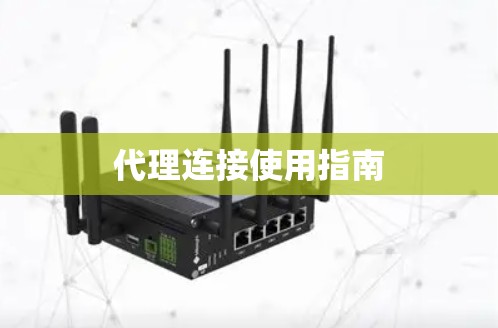 代理连接使用指南