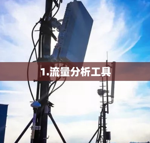 1.流量分析工具