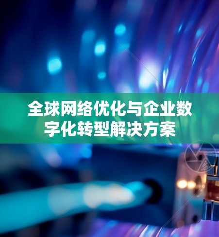 全球网络优化与企业数字化转型解决方案
