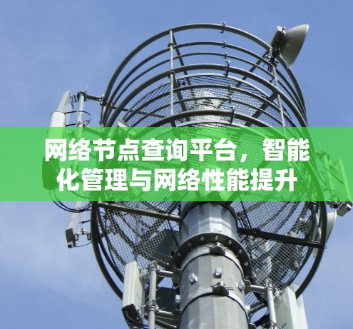 网络节点查询平台，智能化管理与网络性能提升