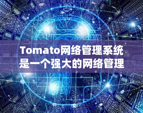Tomato网络管理系统是一个强大的网络管理工具，适用于对网络环境有高级需求的用户。以下是对Tomato网络管理系统的详细介绍