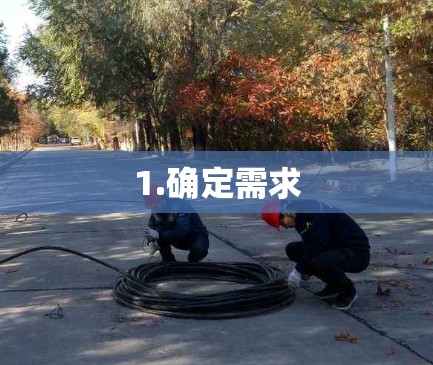 1.确定需求