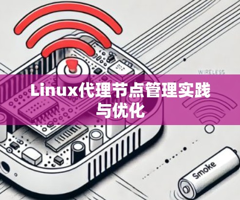 Linux代理节点管理实践与优化