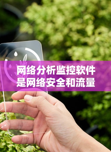 网络分析监控软件是网络安全和流量管理的重要工具，帮助企业在复杂的网络环境中识别潜在威胁并优化网络性能。以下是对这一领域的详细分析