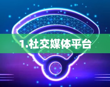 1.社交媒体平台