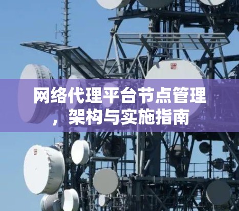 网络代理平台节点管理，架构与实施指南