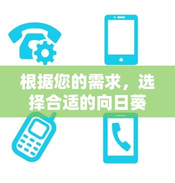 根据您的需求，选择合适的向日葵远程连接工具需要考虑以下几个方面