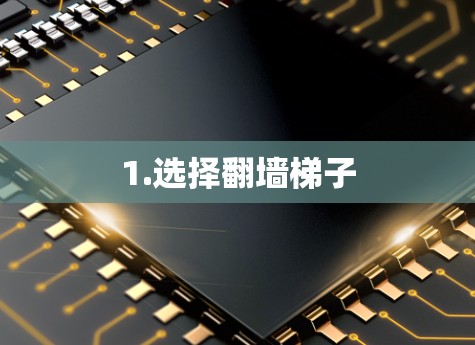 1.选择翻墙梯子