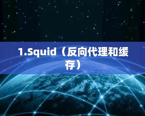 1.Squid（反向代理和缓存）