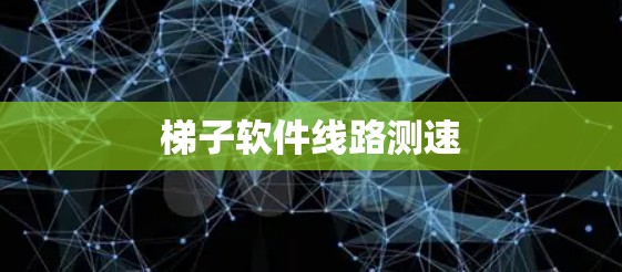 梯子软件线路测速