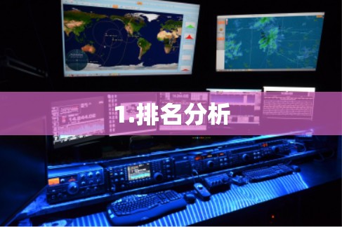 1.排名分析