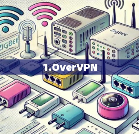 1.OverVPN