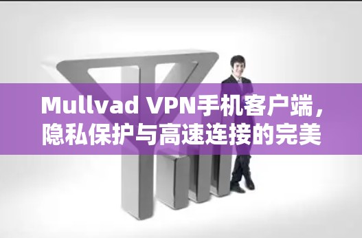 Mullvad VPN手机客户端，隐私保护与高速连接的完美结合