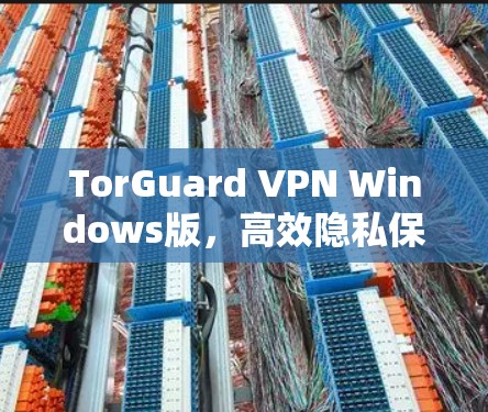 TorGuard VPN Windows版，高效隐私保护，高速稳定连接