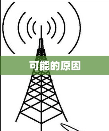 可能的原因
