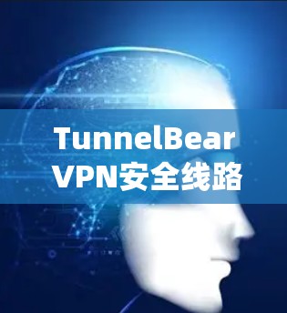 TunnelBear VPN安全线路推荐