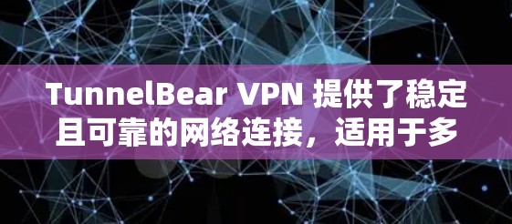 TunnelBear VPN 提供了稳定且可靠的网络连接，适用于多种用户需求。以下是对其稳定线路体验的详细分析