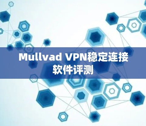 Mullvad VPN稳定连接软件评测