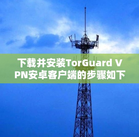 下载并安装TorGuard VPN安卓客户端的步骤如下