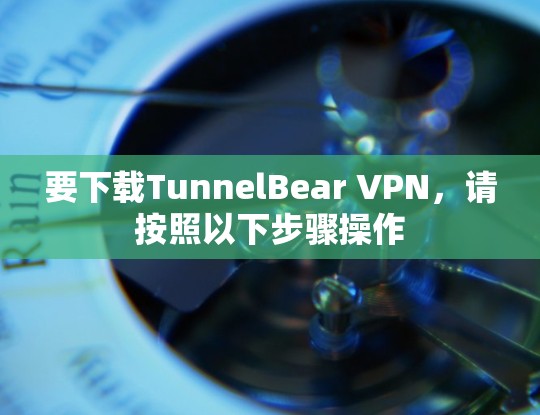 要下载TunnelBear VPN，请按照以下步骤操作