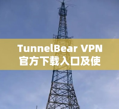 TunnelBear VPN官方下载入口及使用指南