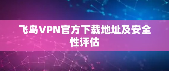 飞鸟VPN官方下载地址及安全性评估