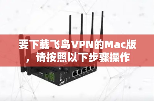 要下载飞鸟VPN的Mac版，请按照以下步骤操作